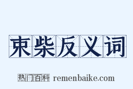 束柴反义词是什么意思的图片